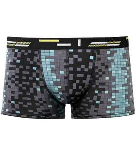 120903 Боксеры