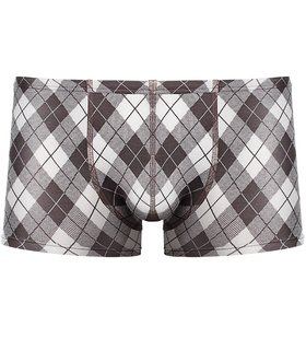 120904 Боксеры